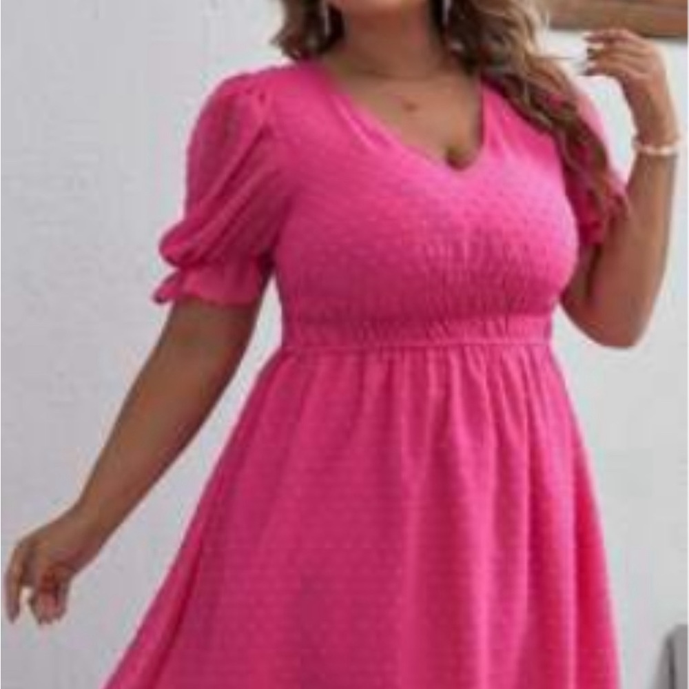 Hot pink Swiss dot plus dress